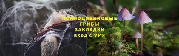 гидра Аркадак